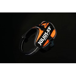 Idc®-Powerharness Uv Naranja Baby2 33-45cm (2-5kg)