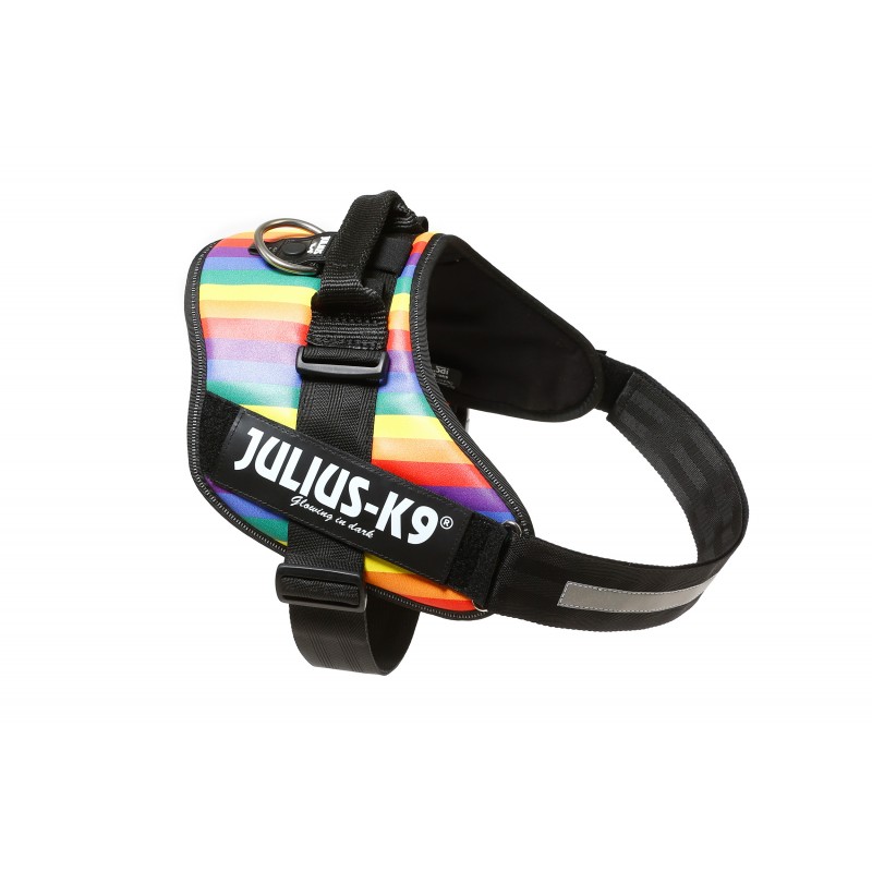 Idc®-Powerharness Arco Iris Talla 1 66-85cm (23-30kg)