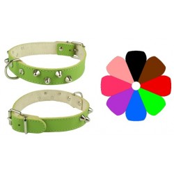 Collar Mountain Co2F VER 30-36 L400 A25