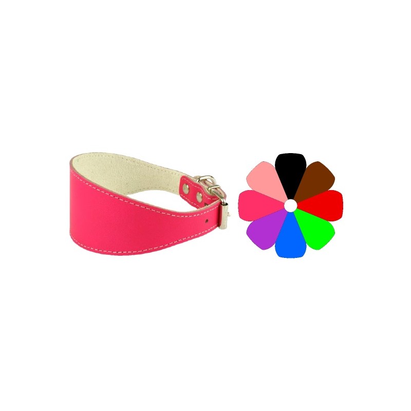 Collar Galgo NJ 26-36 L400 A55