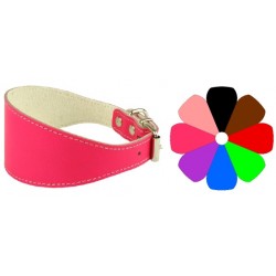 Collar Galgo ORO 26-36 L400 A55