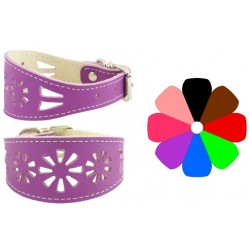 Collar Galgo Filig NJ 31-41 L450 A60