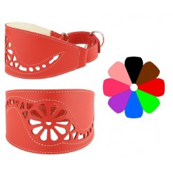 Collar Galgo Marting Filig AM 35-45 L450 A80