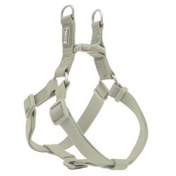 Arnés Nylon Basic Tipo A Verde Salvia 10mmx20-36cm