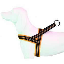 Arnes Soft-Sport NJ Neon T-M 25mmx62-72cm