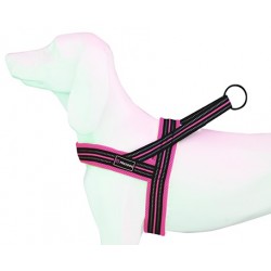 Arnes Soft-Sport RS T-M 25mmx62-72cm