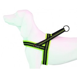 Arnes Soft-Sport AM Neon T-M 25mmx62-72cm
