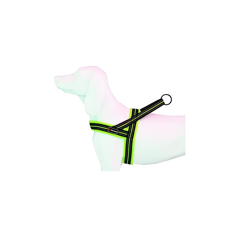 Arnes Soft-Sport AM Neon T-M 25mmx62-72cm