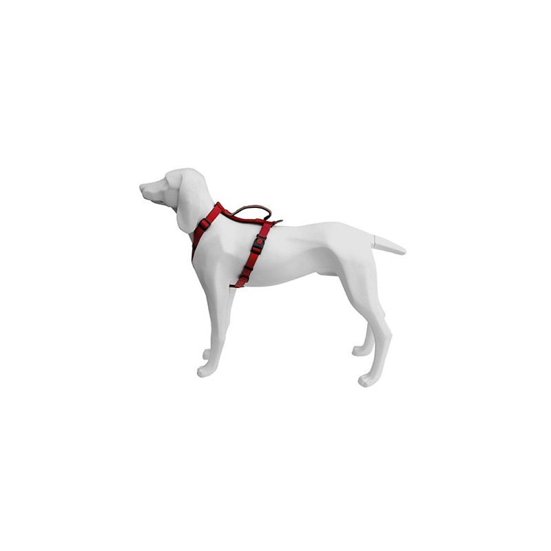 Arnes Extreme Rojo 15mmx40/56cm