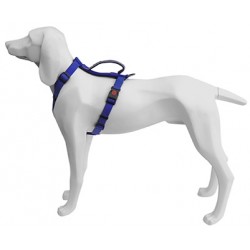 Arnes Extreme Azul 15mmx40/56cm