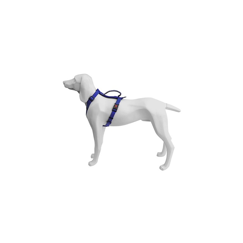Arnes Extreme Azul 15mmx40/56cm