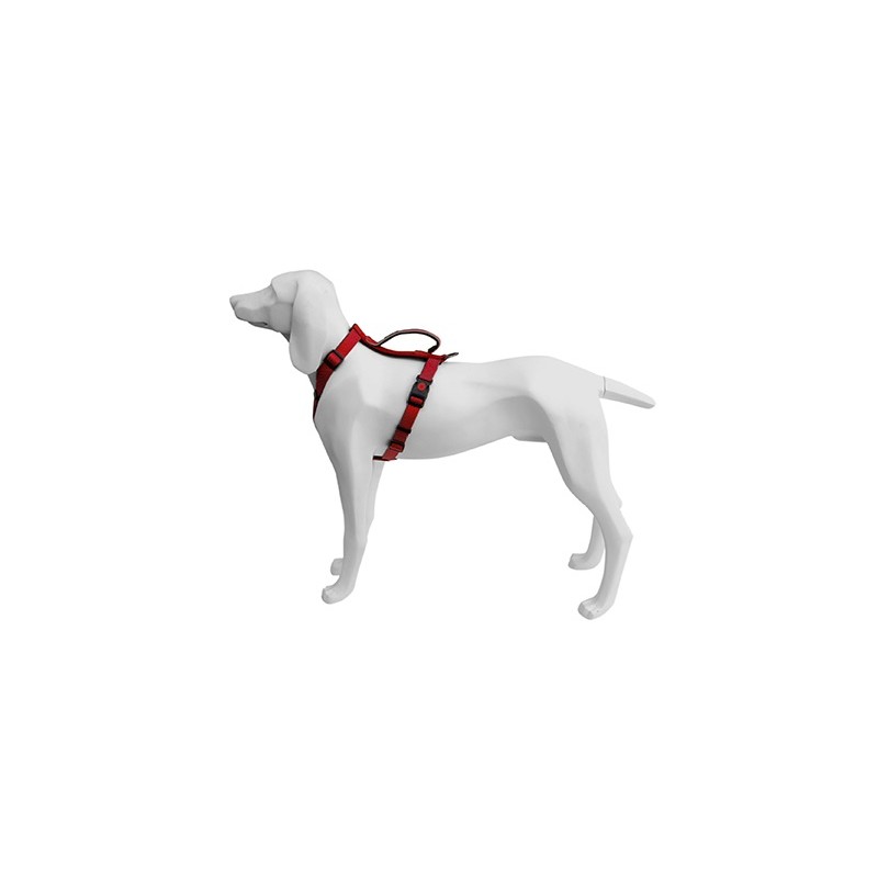 Arnes Extreme Rojo 25mmx61/85cm