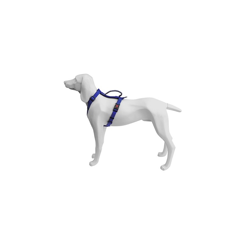 Arnes Extreme Azul 25mmx61/85cm