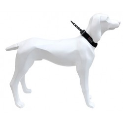 Collar Gun 15mm x 31-39cm NEGRO