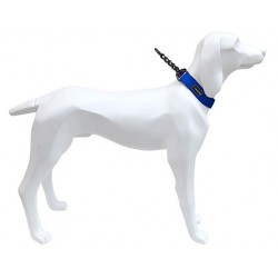 Collar Gun 15mm x 31-39cm AZUL
