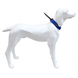 Collar Gun 20mm x 39-52cm AZUL