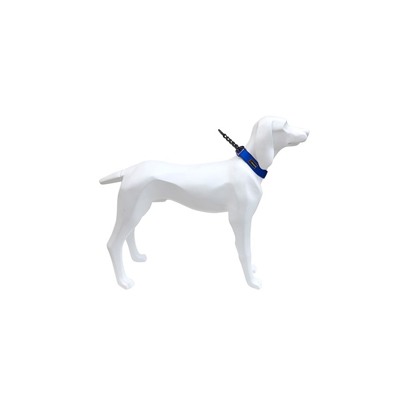 Collar Gun 20mm x 39-52cm AZUL