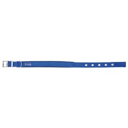 Collar Ergo azul 25mmx55cm