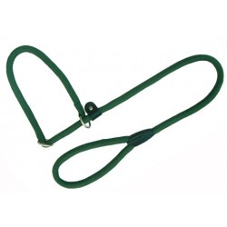 Collar-Tirador Nylon Round Verde 8x120cm