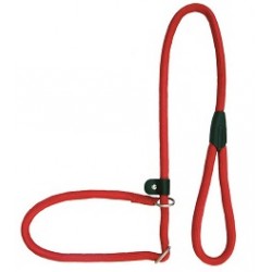 Collar-Tirador Nylon Round Verde 10x120cm