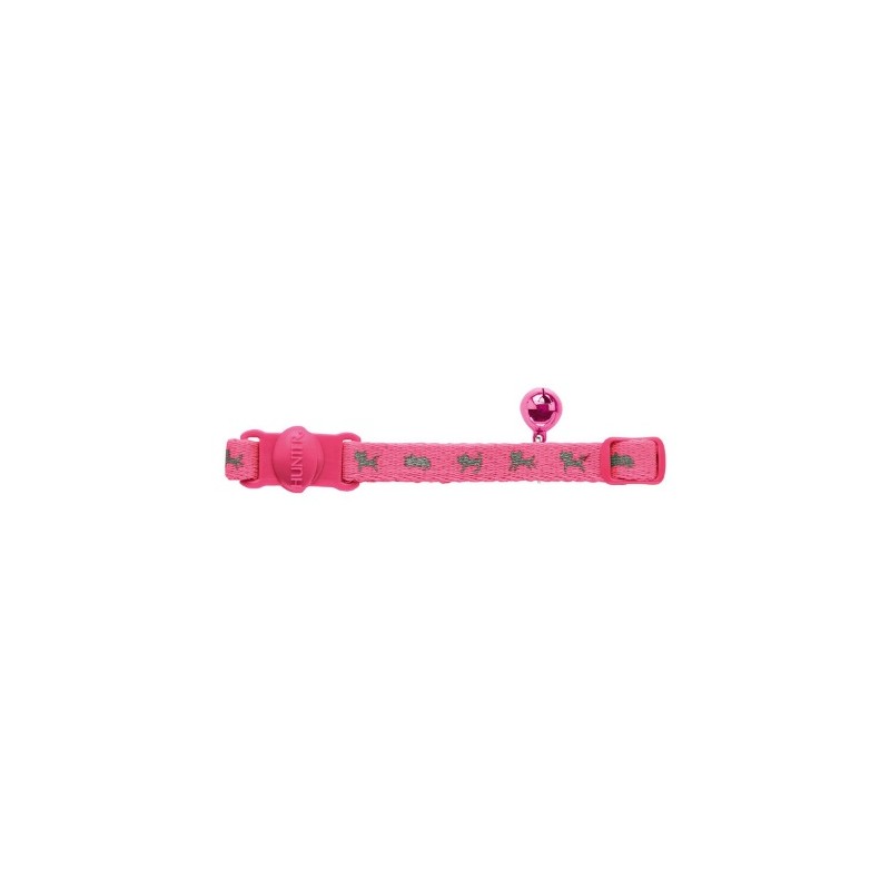 *Collar Gato NEON Cierre Seguridad Nylon RS