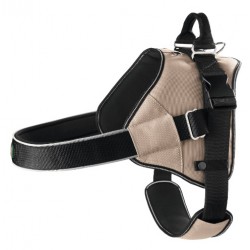 *Arnes Noruego Neopren Expert Nylon/Neopr BG/NG S