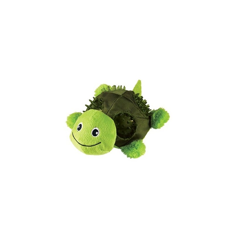 RSH11E Kong Shells  Turtle TL