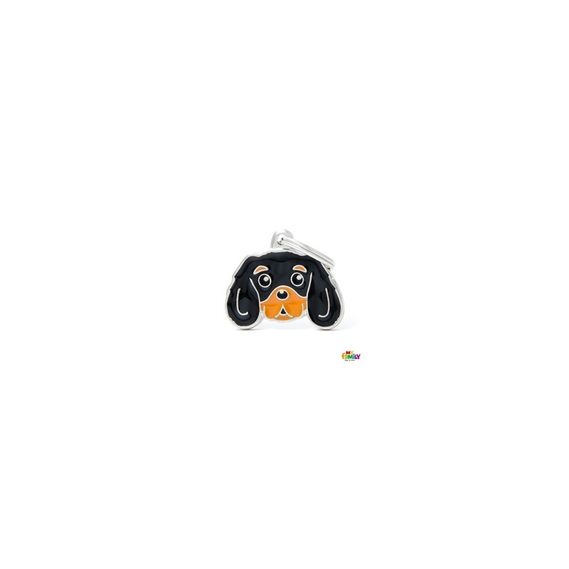 MF22TAN Cavalier King NG
