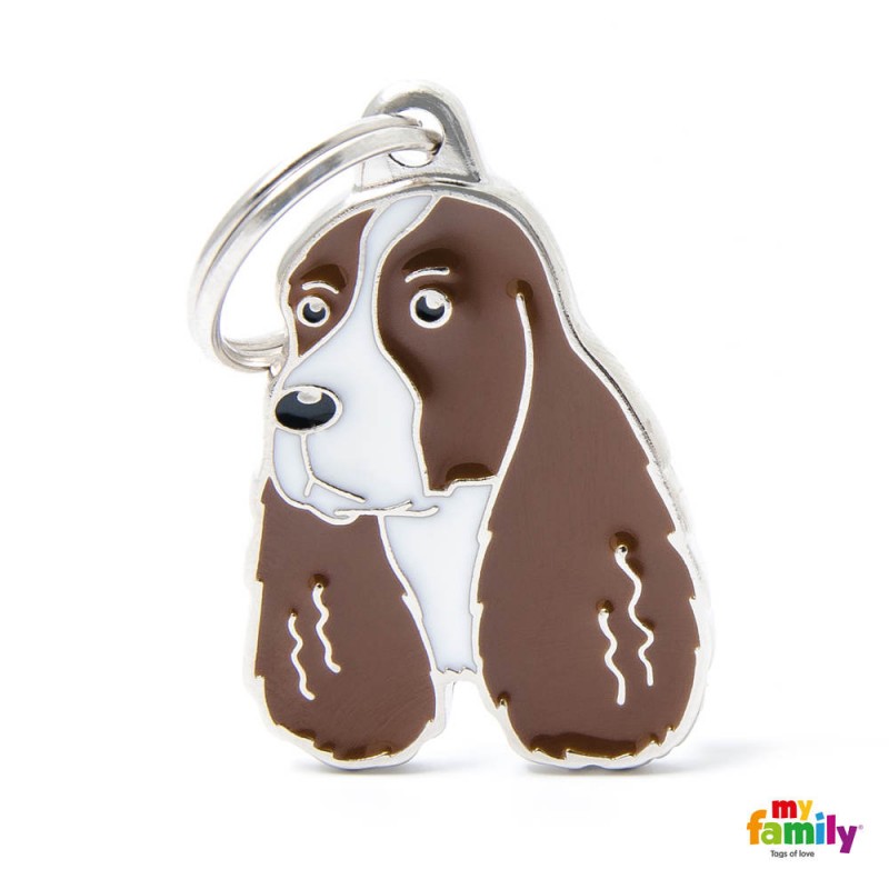 MF87WHITEBROWN Springer Spaniel MR/BCO