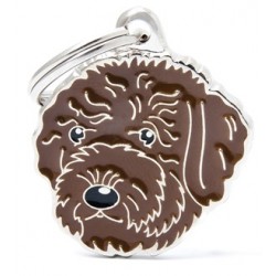 MF89BROWN Lagotto Romagnolo MR