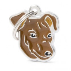 Mf26Nbrown Pinscher Marron