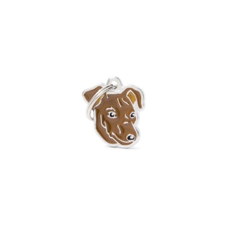 Mf26Nbrown Pinscher Marron