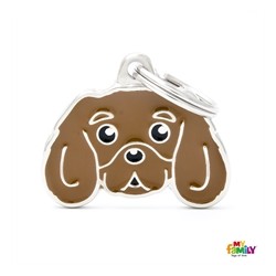 MF22RUBY Cavalier King RUBY