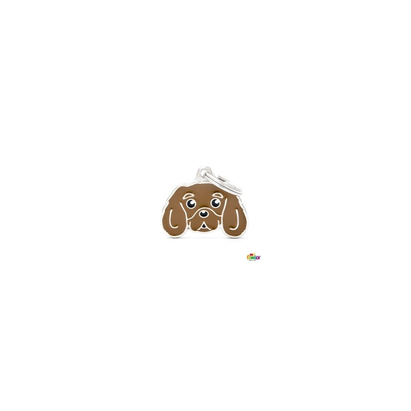 MF22RUBY Cavalier King RUBY