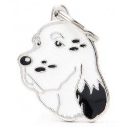 Mf28Nenglish Setter Inglés