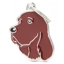 Mf28Nirish Setter Irish