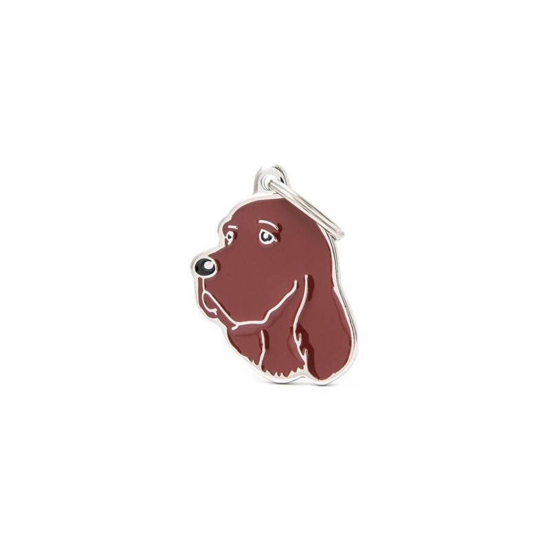 Mf28Nirish Setter Irish