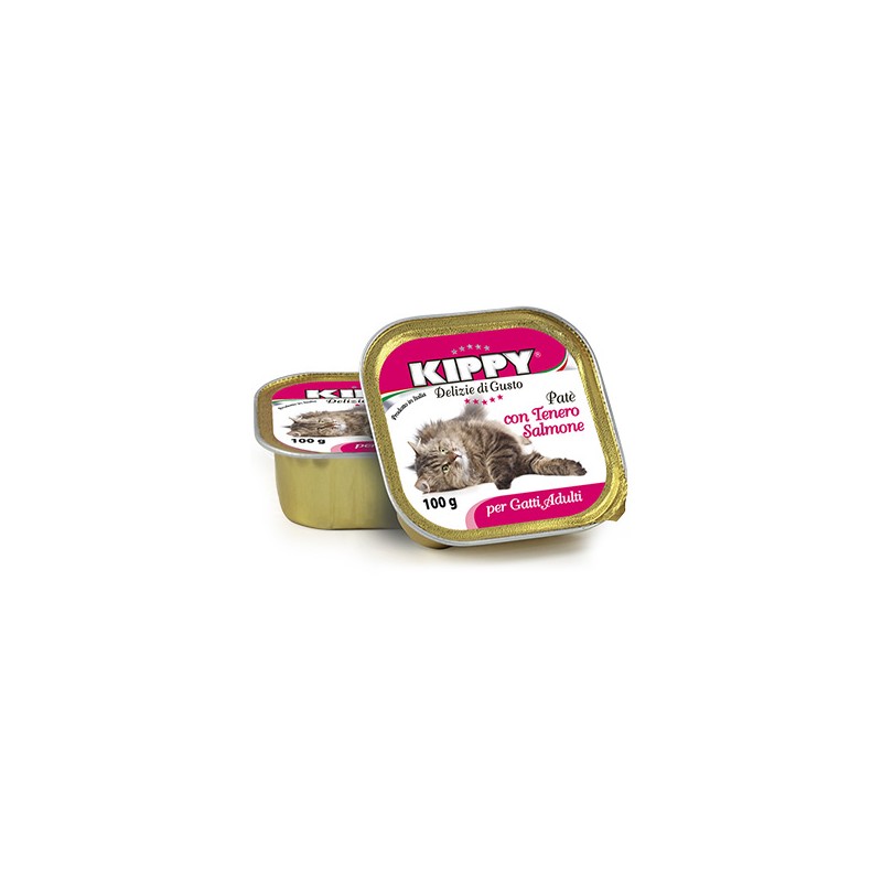 Cat Pate Salmon Tierno 100gr (32ud)