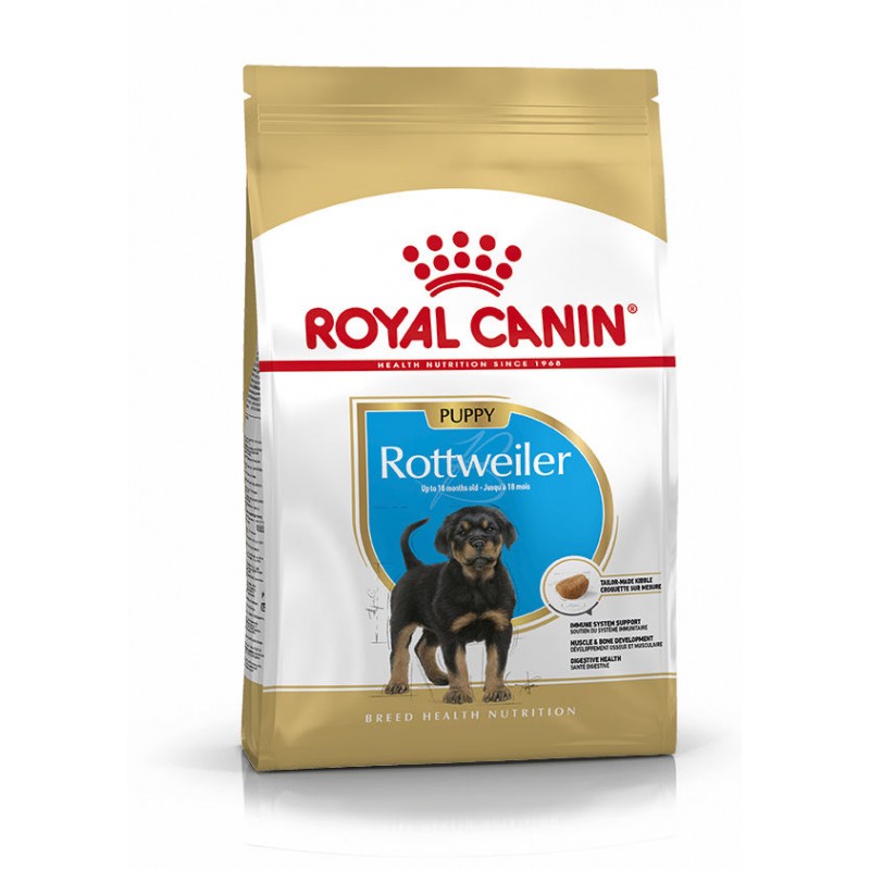 BHN Rottweiler Puppy 12kg