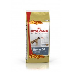 BHN Boxer Ad 12+2kg