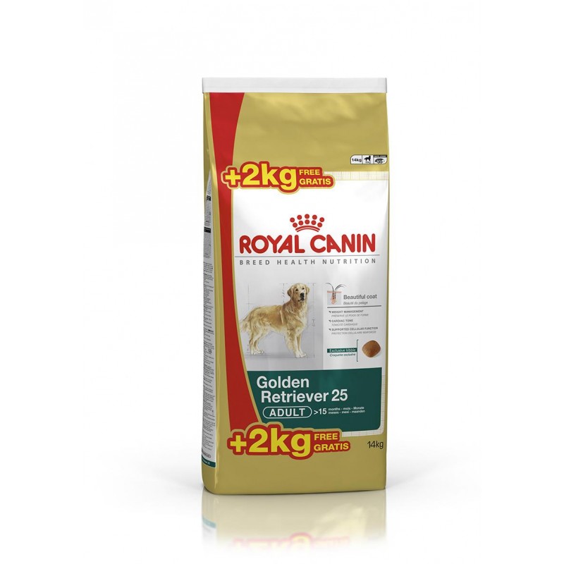 BHN Golden Retriever Ad 12+2Kg