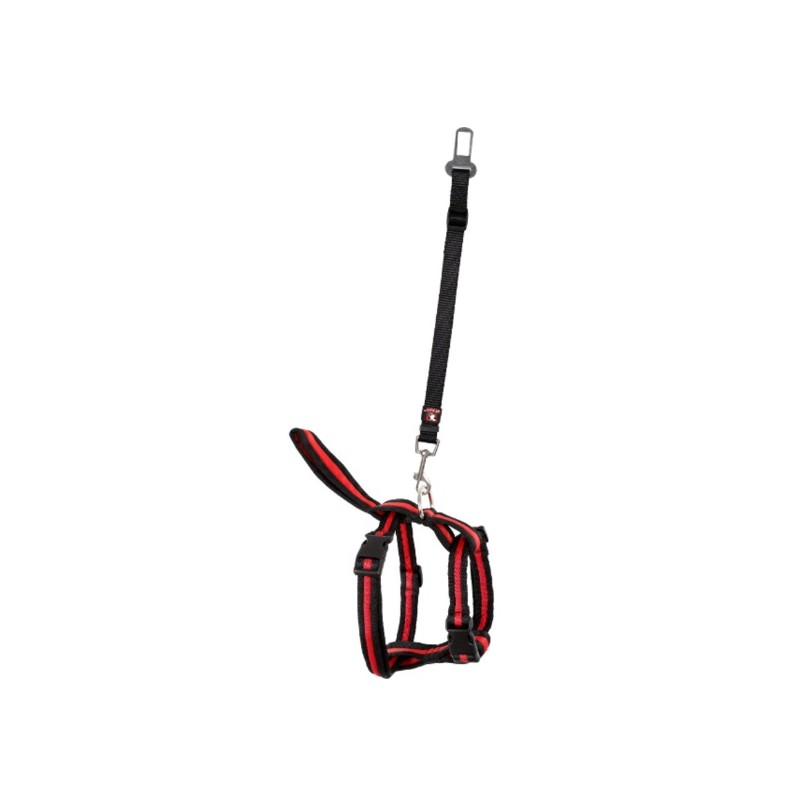 Arnes Nylon+Correa Automovil T10
