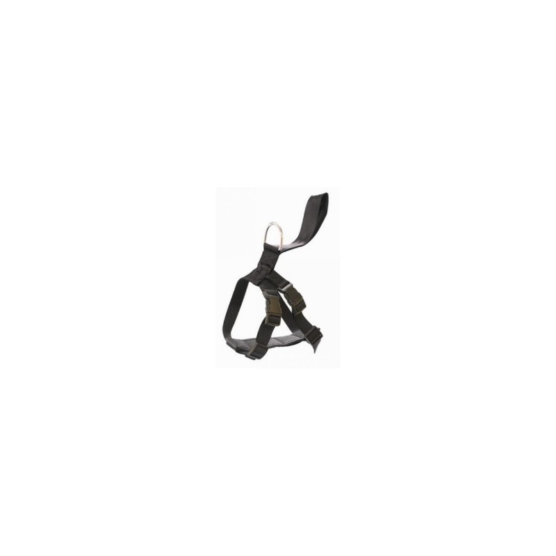 Arnes Seguridad Coche Y Paseo XL